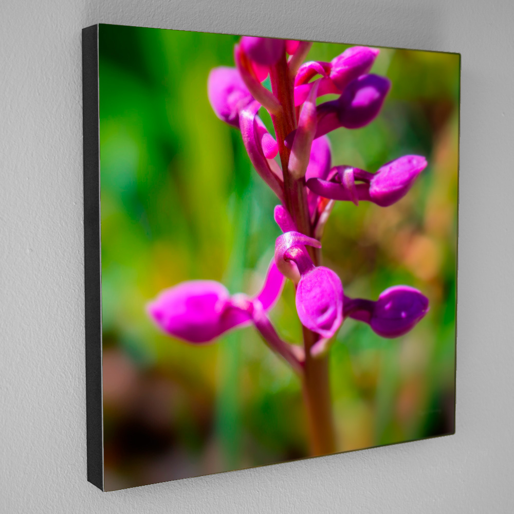 Imagen para enmarcar de BeautyPict